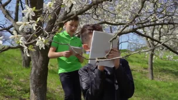 Two teenagers makes laboratory work and explores bloom of flowers on trees — Stock Video