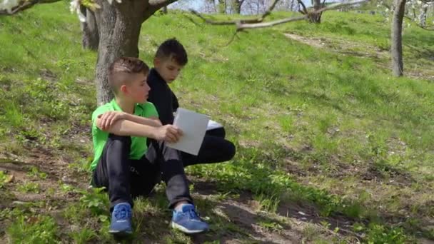 Два мальчика обсуждают школьную домашнюю работу сидя под деревом в парке — стоковое видео
