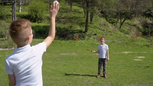 Dva malí chlapci hraje baseball na louce v parku — Stock video