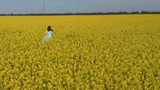 Mooie vrouw loopt in de bloem veld en plotseling naar beneden vallen — Stockvideo