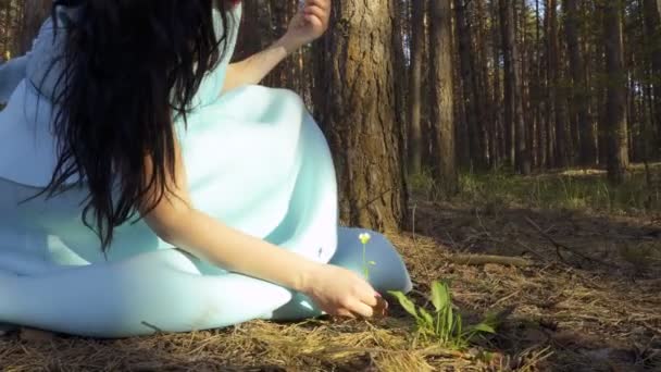 Hermosa mujer en vestido azul recoge flores y plantas en el bosque — Vídeos de Stock