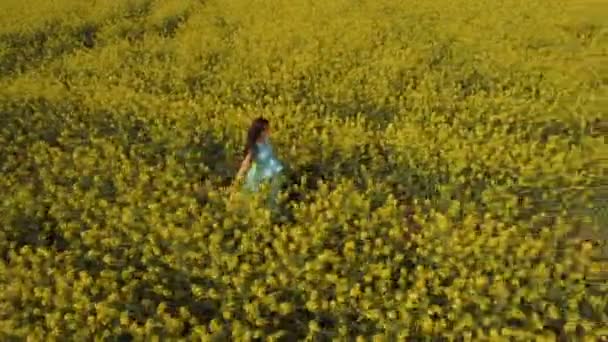 Красивая женщина в синем платье гуляет среди желтых цветов на поле — стоковое видео