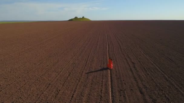 Uzun Kırmızı elbiseli kadına sürülmüş sahada yürüyor — Stok video