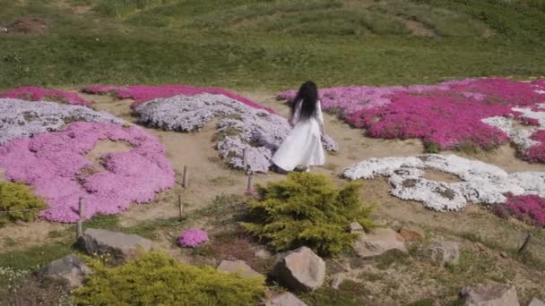 Hermosa mujer camina entre macizos de flores rosas — Vídeos de Stock
