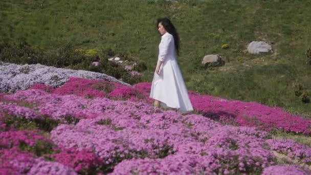 Charmante brune se promène parmi les parterres roses dans le jardin botanique — Video