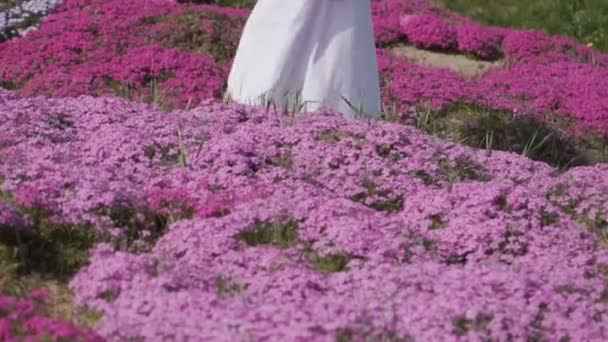 Mulher de vestido branco longo caminha entre flores rosa — Vídeo de Stock