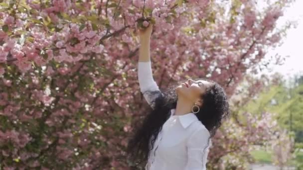 Hermosa mujer huele flores de sakura — Vídeo de stock