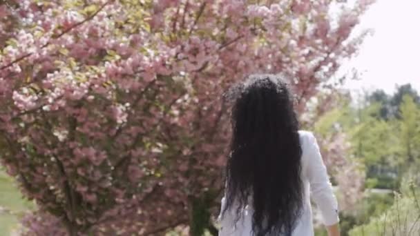 Γυναίκα στην Λευκή φόρεμα περπατά κοντά τα ανθίζοντας δέντρα sakura σε αργή κίνηση — Αρχείο Βίντεο