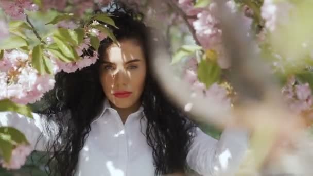Confident beautiful woman among blooming branches — Stock Video