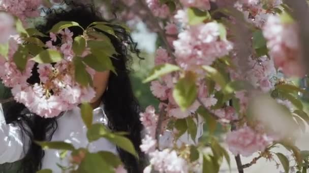 Κομψό όμορφη γυναίκα στο sakura ροζ λουλούδια — Αρχείο Βίντεο