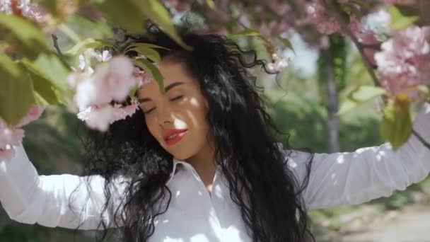 Mulher sensual desfrutar sakura — Vídeo de Stock