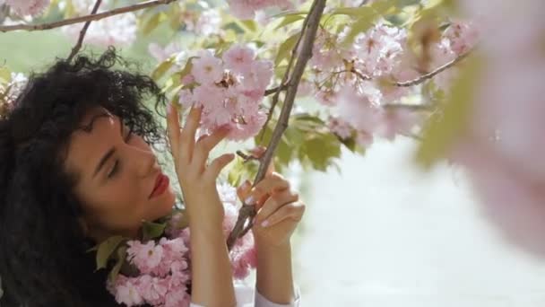 Mooie vrouw touch sakura bloemen — Stockvideo