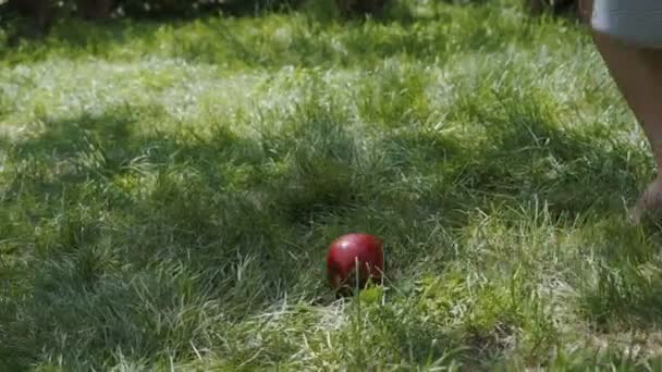 Branca de neve tomar maçã da grama — Vídeo de Stock