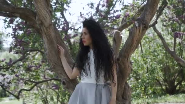 木の近くのカメラのためにポーズの美しいブルネット — ストック動画