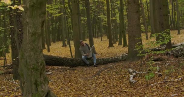 Красивый улыбающийся кавказский мужчина сидит на туловище в осеннем лесу и смотрит на карту. Мужской турист ищет лучший способ уйти. Съемки в кинотеатре 4k . — стоковое видео