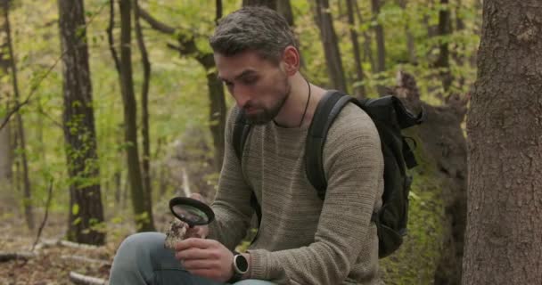 Knappe volwassen blanke man zittend in het herfstbos en kijkend naar boomschors stuk door vergrootglas. Nieuwsgierig grijs harige toerist brengt weekenden buiten door. Bioscoop 4k beelden Prores Hq. — Stockvideo