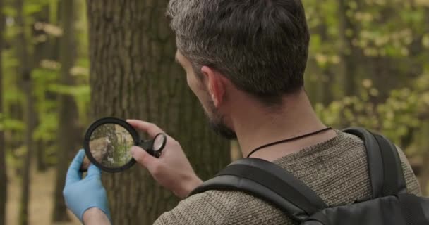 Jonge nieuwsgierige blanke man met zwarte rugzak kijkend naar boomschors stuk door vergrootglas. Grijsharige toerist in het herfstbos. Bioscoop 4k beelden Prores Hq. — Stockvideo