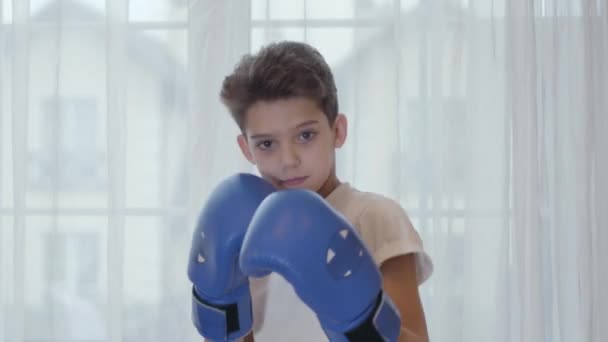 Portrait de jeune garçon caucasien boxe à la caméra. Joli écolier en gants de boxe montrant ses compétences. Aller dans le sport, concept de mode de vie sain . — Video