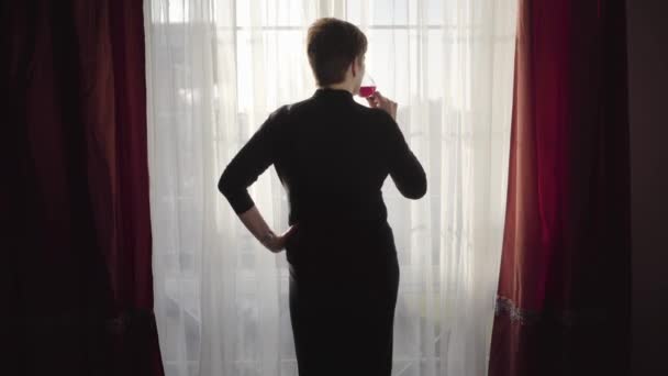 Back view of brunette Caucasian woman in elegant black dress standing at big window with one hand on hip and drinking red wine. Confident businesswoman resting after hard working day in the evening. — Stock Video