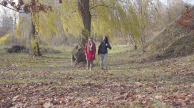 Neşeli Orta Doğulu sevgili ve Kafkas kız arkadaş sonbahar ormanlarında ağaçların arasında geziniyorlar. Dışarıda çıkan kaygısız hippi çift. Parça, dinlenme, rahatlık, birliktelik..