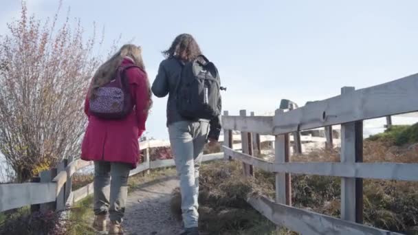 Bakåt bild av unga multiracial par med ryggsäckar går upp längs staketet i höstparken. Vuxen pojkvän och flickvän strosar utomhus. Obekymrade människor dejtar. — Stockvideo