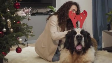 Büyük köpeğin yeni yıl geyiklerinin boynuzlarında otururken neşeli bayan sahibinin kafasını okşaması ve gülümsemesi. Mutlu beyaz kadın evcil hayvanla Noel 'e hazırlanıyor. Tatiller, rahatlık, rahatlık..