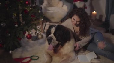 Kafkasyalı tatlı esmer kadın Moskova Bekçi Köpeği 'yle birlikte yumuşak halıda uzanıp kitap okuyor. Sıradan elbiseli bir kız evcil hayvanını okşuyor ve öpüyor. Büyük köpek yeni yıl arifesinde insan arkadaşıyla dinleniyor..