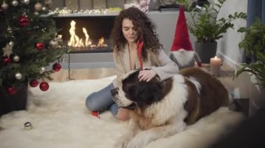 Kafkasyalı hoş bir kızın portresi geyik boynuzlarını köpeklerin kafasına koyup yumuşak halıya uzanmış. Moskova Bekçi Köpeği 'ni yeni yıl arifesinde dekore eden güzel bir kadın. Eğlence, mutluluk, neşe.