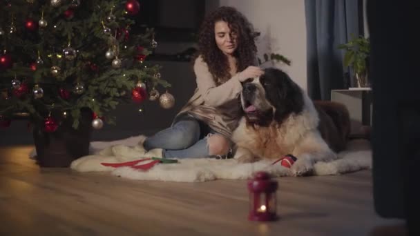 Porträtt av leende vit flicka sitter med husdjur hemma på nyårsafton. Lykta med ljus som står i förgrunden. Människa och djur vilar bredvid den dekorerade julgranen. — Stockvideo