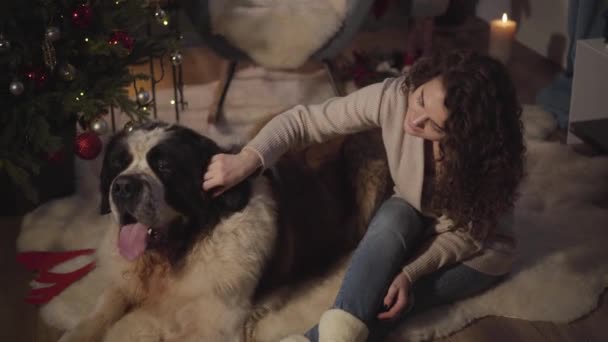 Ovanifrån av vit kvinna och stora Moskva Watchdog sitter på golvet på mjuk matta. Flickan tittar på sitt söta husdjur och smeker hans öra. Vänner njuter av nyårsafton bredvid julgran. — Stockvideo