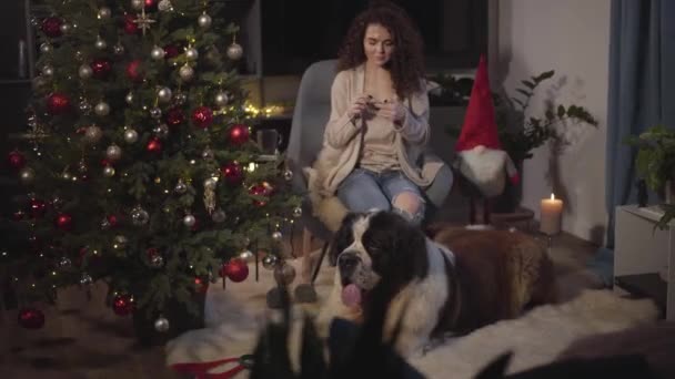 Beautiful concentrated Caucasian girl knitting in front of fireplace and Christmas tree. Big Moscow Watchdog lying with his human friend. Camera moving from right to left.Holidays, hobbies, leisure. — Stock Video
