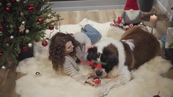 Mulher branca positiva bonita deitada com o cão de guarda de Moscou ao lado da árvore de Natal e brincando com o animal de estimação. Menina tirando chifres de Ano Novo de veados de animais cabeça e dando-lhe brinquedo . — Vídeo de Stock