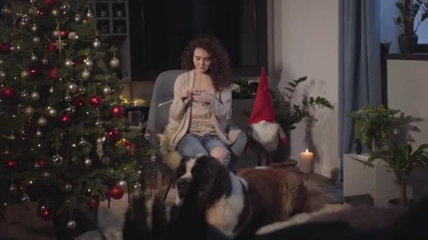 Приваблива кавказька жінка сидить на зручному кріслі перед каміном і різдвяним деревом і в'яже. Великий Сен-Бернар бреше своєму другові. Камера рухається зліва направо.. — стокове відео