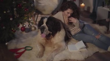 Beyaz saçlı, kıvırcık saçlı, güzel esmer bir kız, yumuşak halıda büyük bir köpekle oturuyor gibi görünüyor. Güzel bir kadın saçını düzeltiyor ve gülümsüyor. Arkadaşlar yeni yıl arifesinde evde vakit geçirirler..