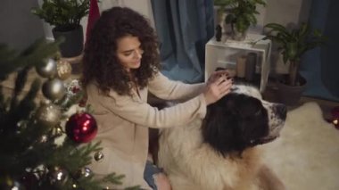 Evcil hayvanının kafasını okşayan ve gülümseyen mutlu esmer kadının yakın plan portresi. Beyaz kız ve Moskova Bekçi Köpeği evdeki Noel ağacının yanında dinleniyor. Tatiller, Yeni Yıl Arifesi.