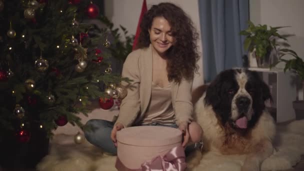 Gelukkig blank meisje zittend op de vloer met grote Sint Bernard en het openen van geschenkdoos. Mensen en dieren rusten op oudejaarsavond naast de kerstboom. Verrassende vrouw was aanwezig. Vakantie. — Stockvideo