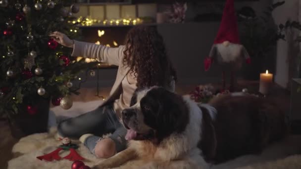 Primer plano de la sonriente mujer caucásica colgando juguetes rojos en el árbol de Año Nuevo. Gran perro guardián de Moscú acostado junto a su amigo frente a la chimenea. Feliz propietario y mascota preparándose para la Navidad . — Vídeos de Stock