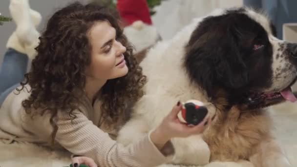 Närbild ansikte glad vit flicka ger sitt husdjur leksak, tittar på kameran och ler. Glada kvinna presentera gåva till sin stora Saint Bernard på nyårsafton. Skönhet, komfort, semester. — Stockvideo