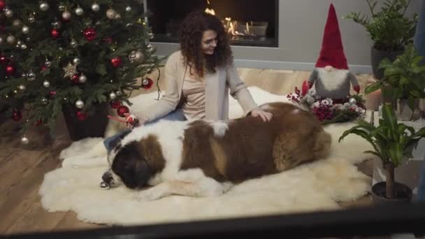 Portrait of pretty Caucasian girl holding Christmas decoration and stroking her dog. Happy woman sitting at fireplace next to the New Year tree with big Moscow Watchdog. Christmas eve, leisure. — Stock Video