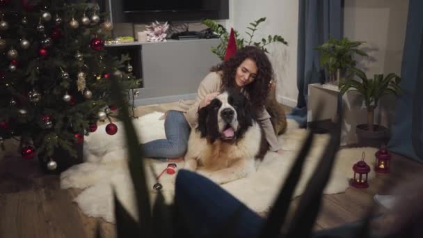 Mladá běloška s kudrnatými vlasy ležící na velkém psovi a hladící svého mazlíčka. Klidný Saint Bernard odpočívá s lidským přítelem doma u krbu. Dekorovaný vánoční stromek stojící vlevo. — Stock video