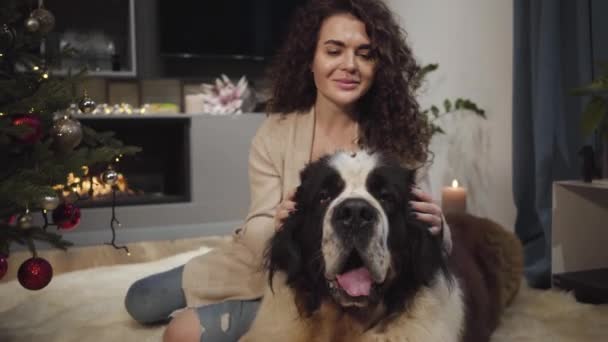 Retrato de close-up da menina caucasiana encantadora olhando para a câmera e acariciando a grande cabeça de Saint Bernards. proprietário feliz descansando com seu animal de estimação em casa confortável na véspera de Ano Novo . — Vídeo de Stock