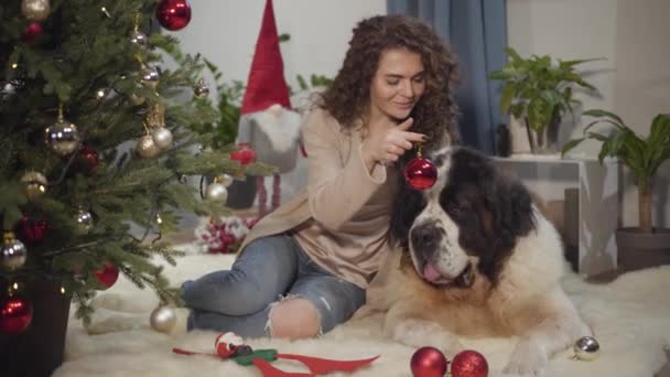 Красивая белая женщина показывает рождественское украшение своему большому московскому сторожевому псу и вешает его на новогоднюю елку. Счастливая молодая девушка проводит Новый год с домашним животным. Празднование, подготовка, праздники — стоковое видео