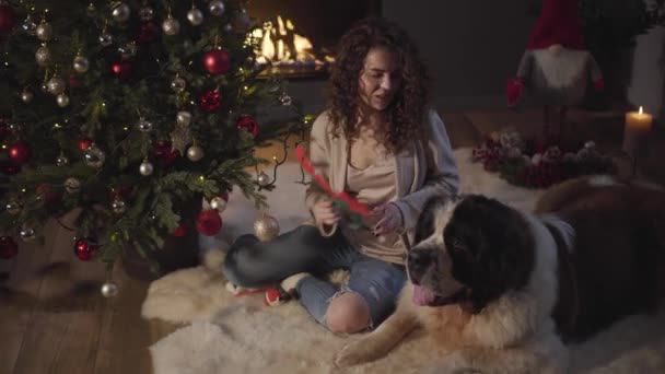 Vista superior de la encantadora chica caucásica poniendo cuernos de Año Nuevo de ciervos en la cabeza de San Bernardo. Gran perro preparándose para la Navidad con su dueño y mejor amigo. Nochevieja, celebración, días festivos . — Vídeo de stock