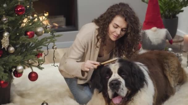 Glada kaukasiska kvinna kamma hennes husdjur, blåser på hans huvud, och sätta på nyår horn av rådjur. Glada flicka förbereder sig för jul med sitt husdjur hemma. Julafton, helgdagar, lycka. — Stockvideo