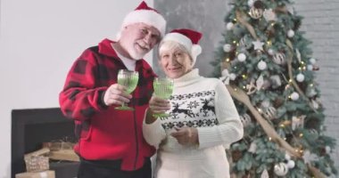 Noel şapkalı, elinde gözlüklerle kameraya bakıp gülümseyen beyaz bir çift. Mutlu eşler yılbaşı gecesini Noel ağacının arka planında birlikte geçirirler. Sinema 4k Prores Merkezi.