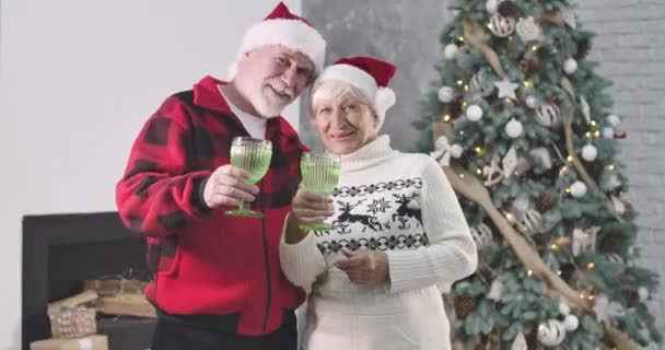Behageligt gammelt kaukasisk par i julehatte holder briller, kigger på kameraet og smiler. Glade ægtefæller tilbringer nytårsaften sammen på baggrund af juletræet. Biograf 4k ProRes hovedkvarter . – Stock-video