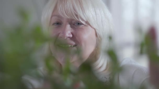 Närbild ansikte leende senior vit kvinna sprutar vatten på inhemska blommor. Porträtt av lycklig pensionär bakom gröna blad. Mormor tar hand om sina plantor. hobby, tidsfördriv, fritid. — Stockvideo