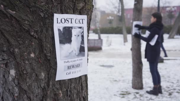 Mujer caucásica borrosa colgando anuncios de gatos desaparecidos en los árboles, un anuncio está en primer plano. Chica joven en busca de mascota perdida. Pérdida, desesperación, búsqueda. Concéntrate en el primer plano . — Vídeos de Stock