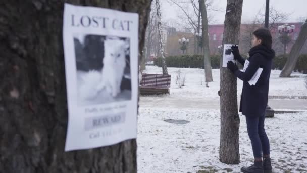 A fókuszváltás a fiatal kaukázusi nőről, aki eltűnt kisállat hirdetést lóg a fára a háttérben, egy bejelentésre az előtérben. Kétségbeesett macska tulajdonos keres neki állat barát. — Stock videók