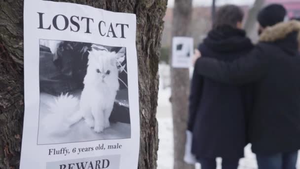 Nahaufnahme einer verlorenen Katzenwerbung, die am Baum hängt, während sich zwei verschwommene kaukasische Menschen im Hintergrund umarmen. Familie sucht ihr Haustier. Verlust, Traurigkeit, Verzweiflung. — Stockvideo